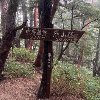 富士山見えるどころでない。