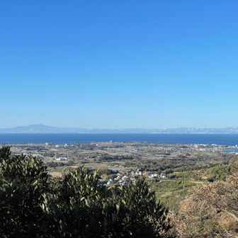 もっと高いところから見たら素晴らしい景色だろうなと期待