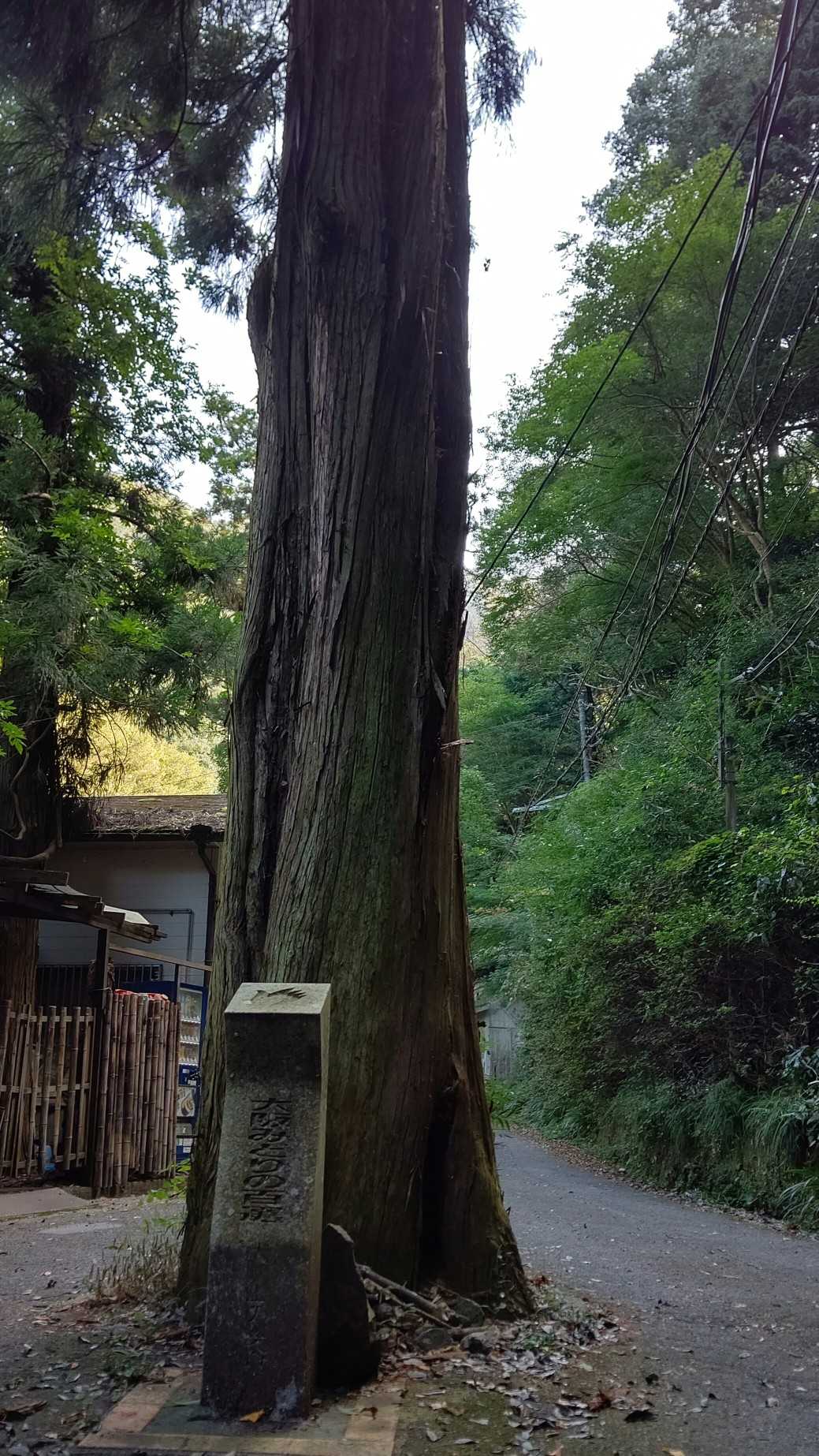 七宝龍寺本堂-経塚権現山登り口-燈明ヶ岳 往復コースの写真