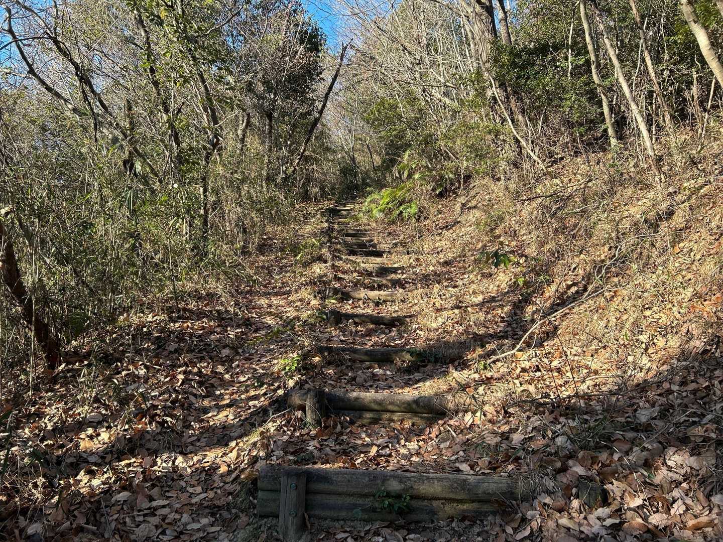 登山道に入りました。