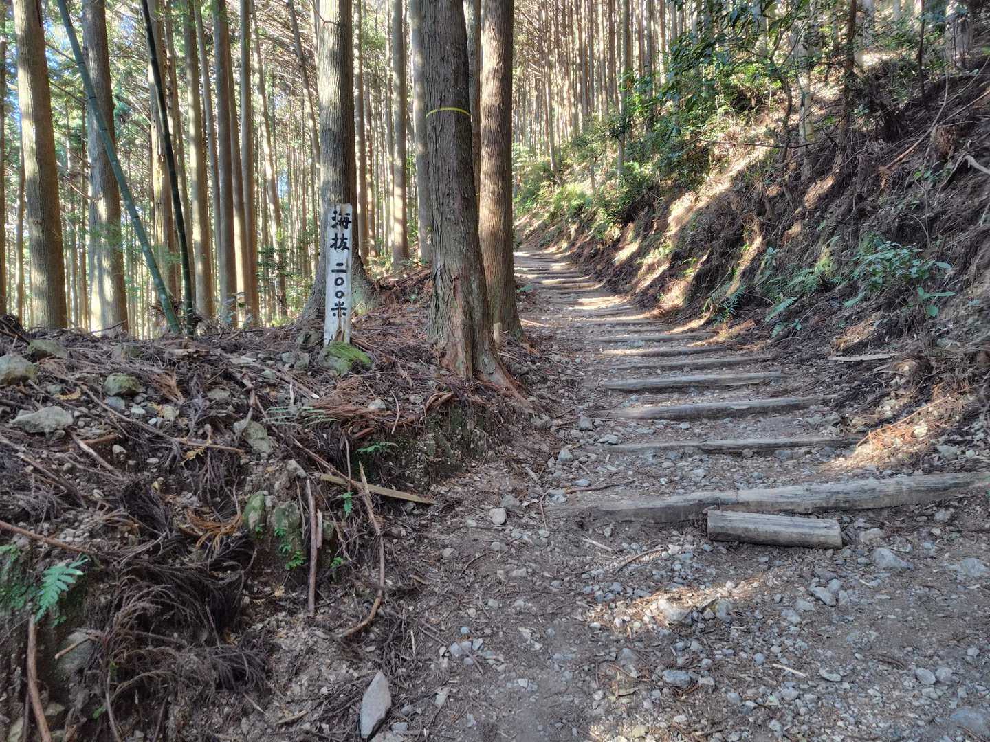 海抜200ｍ、山頂は885ｍなので目安にします😊