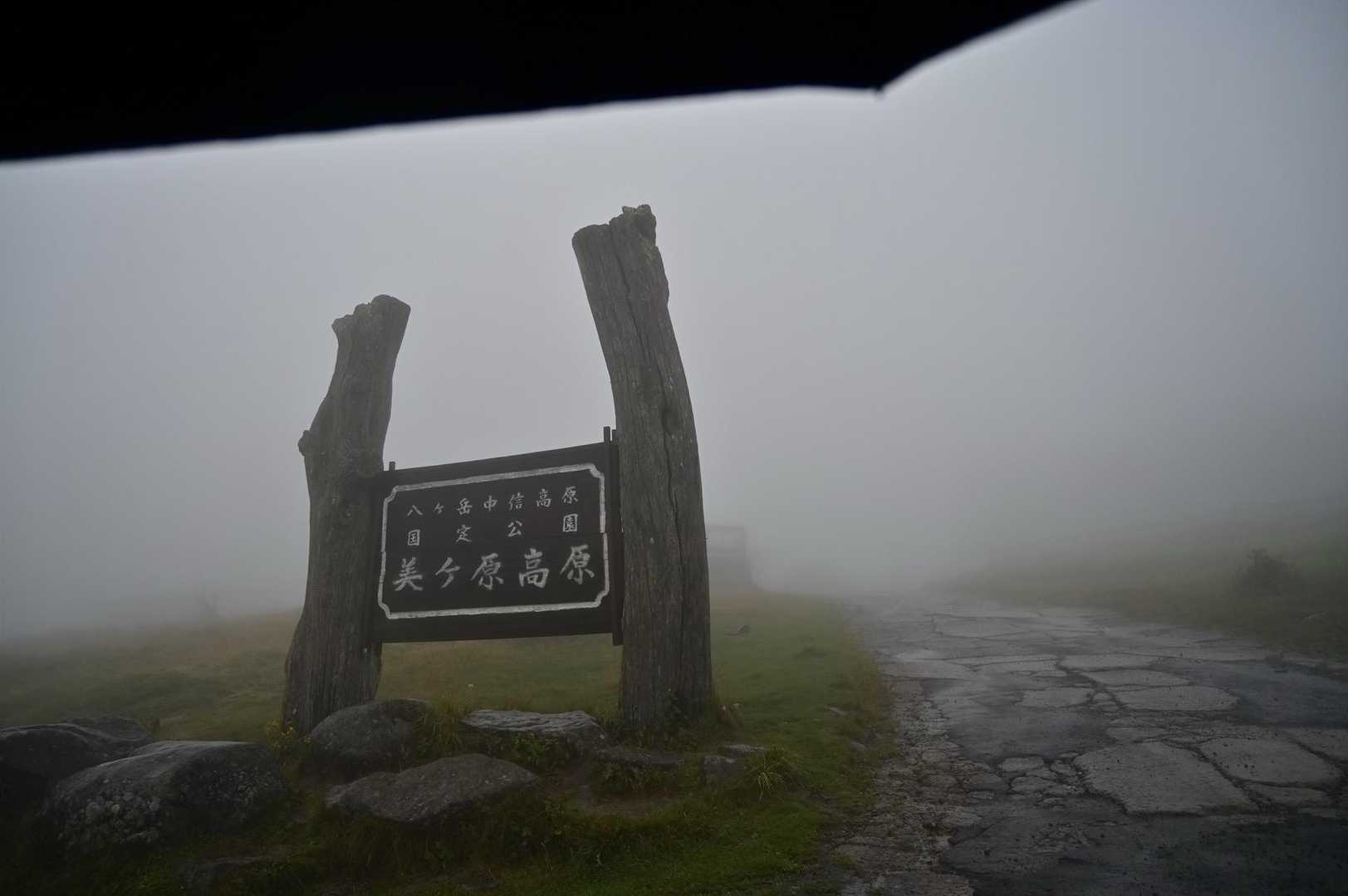 驚きの白さ