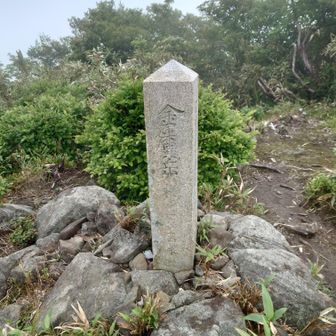 金糞岳山頂