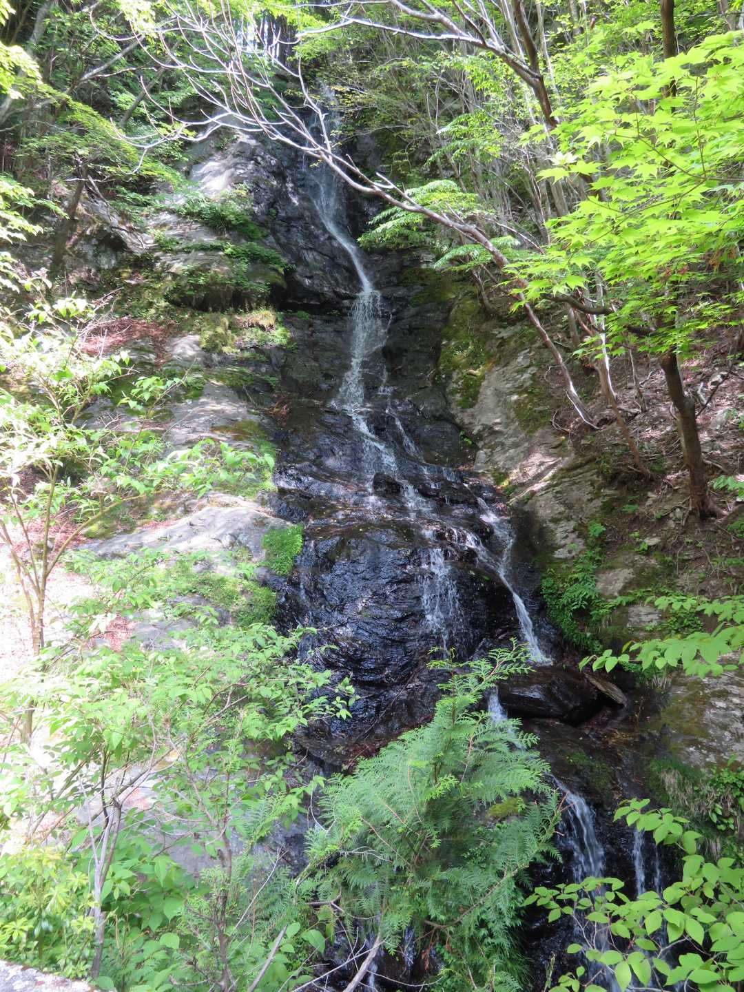 大きな滝
