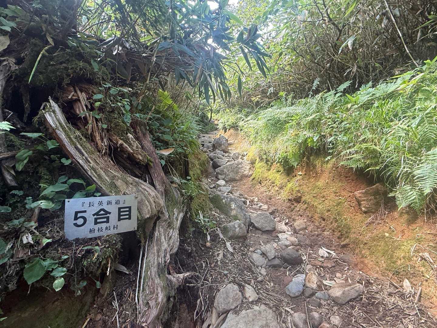 5合目💦
