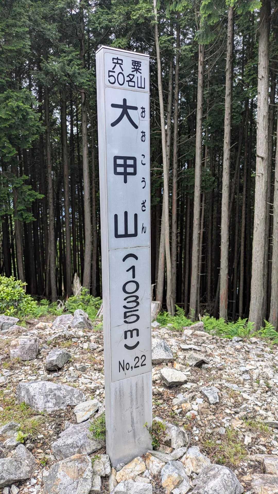 またまた降りて登って大甲山🌿