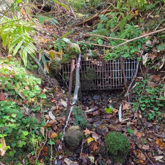 案内標識の右脇に水場、細いけど勢いがある