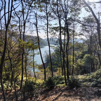 喜撰ダム湖チラ見せ