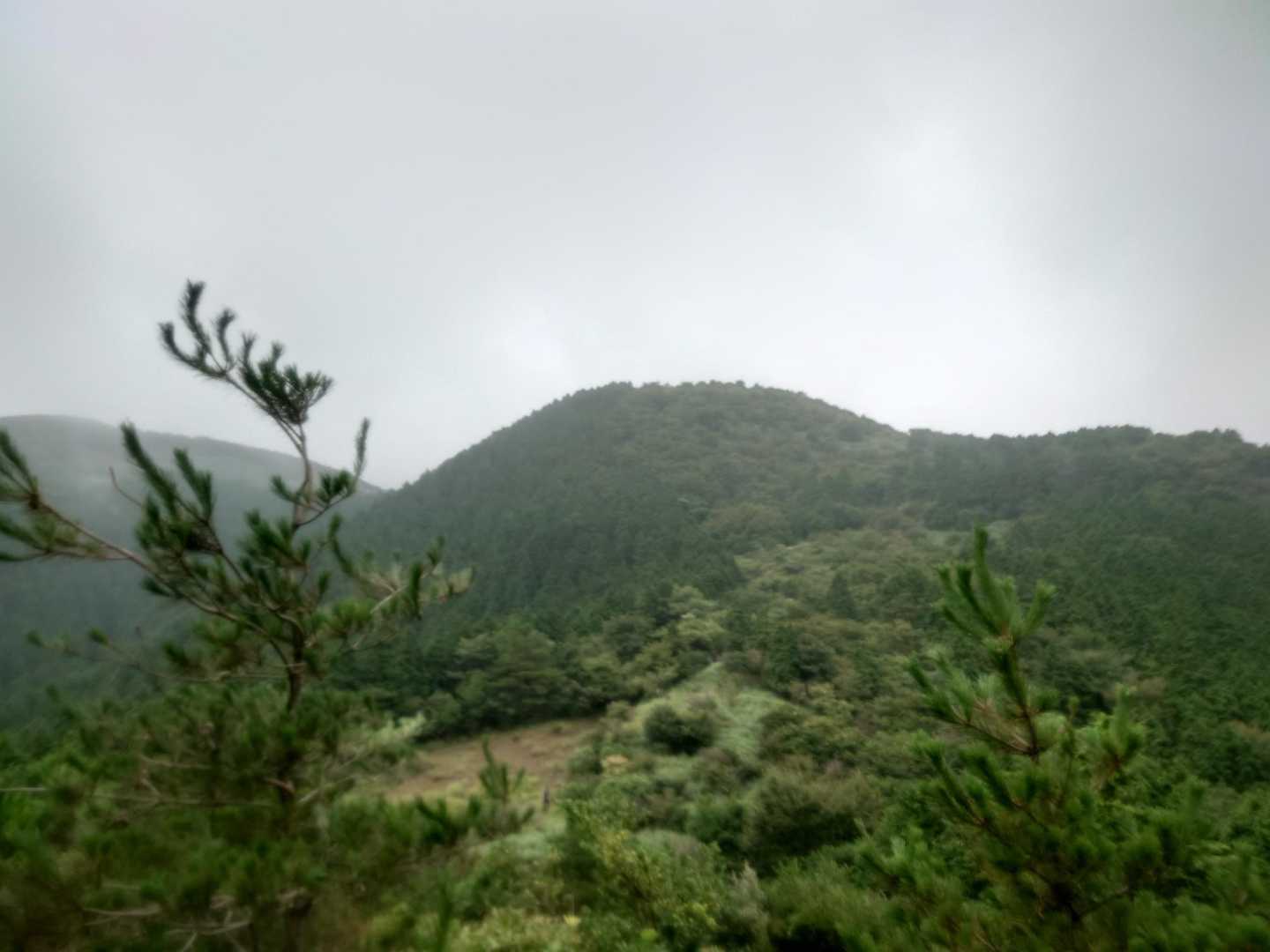 護王峠かな？
ここが急登で辛かった⛰️