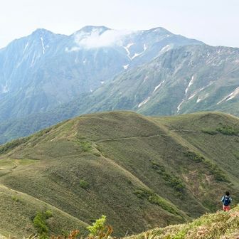 ウヒョ〜〜
登山道がどこまでも見える〜
奥に大きくそびえる谷川岳！！

登りだけど全然嫌じゃない！！
ずっと　ず〜っと歩いてられるよ〜〜