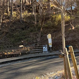 バス停が登山口。最高。