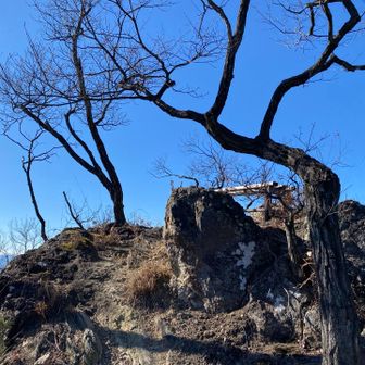 見晴らし良いのが確定