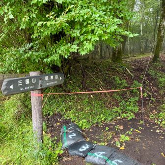 駐車場からすぐ