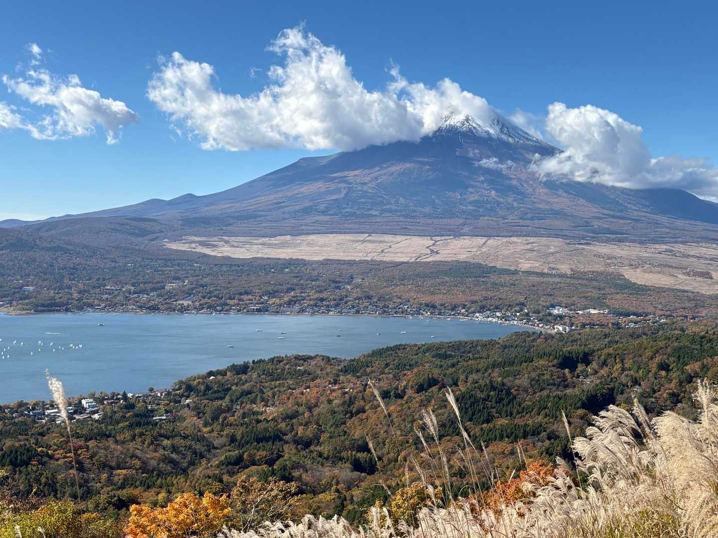 雄大な富士山ドーン🏔️
紅葉に山中湖がいいねー🤩