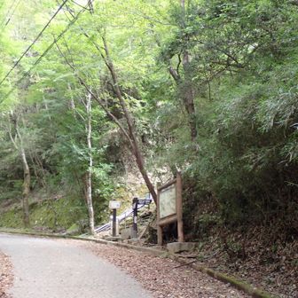 登山口の最寄りのバス停は「金時登山口」ですが、バスの本数が少ないです。
そのため「仙石」を通るバスで「仙石」で降り、ひと駅分を歩きました。
舗装された車道を歩き、ここからは山道に入ります。