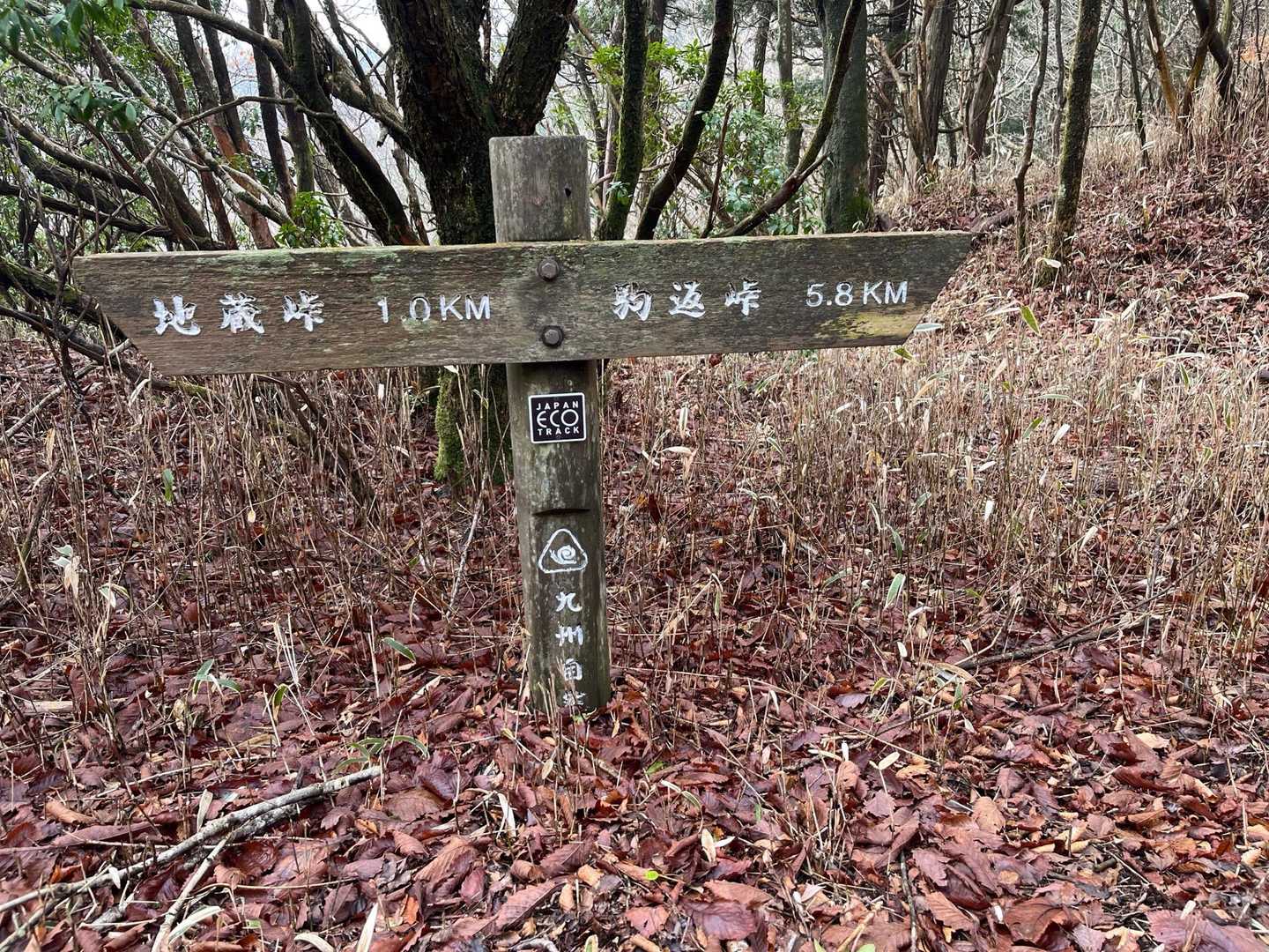 お昼休憩予定の駒返峠までは5.8キロ

歩きやすいので楽勝です☺️✌️