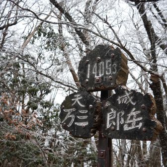 山頂からはあまり景色見えない