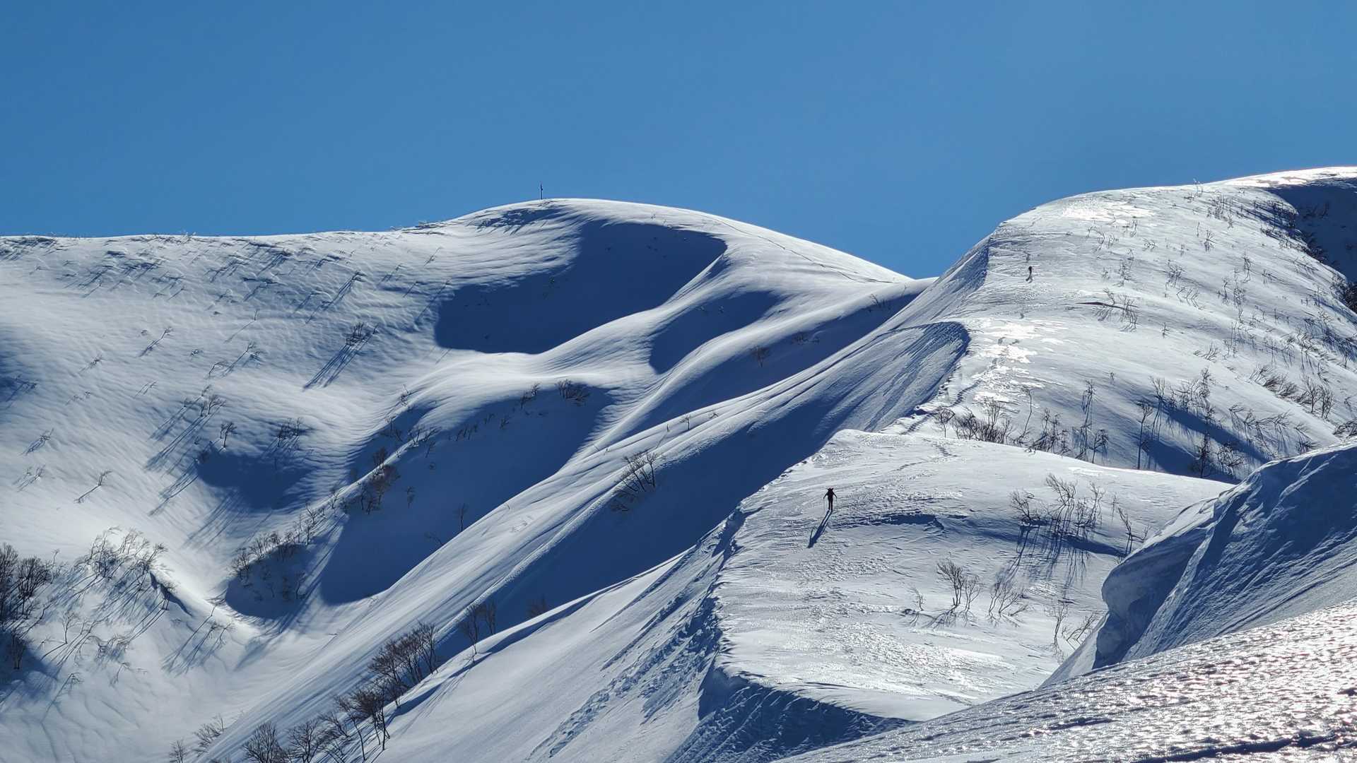 鍋倉山-大地山-初雪山 往復コースの写真