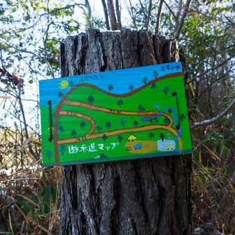 かわいいイラスト地図