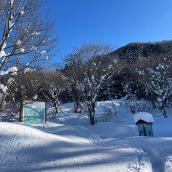 やっと夏の駐車場
登山口まで長かった💦