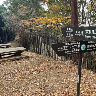 蓑毛バス停や下社との分岐
エスケープしなくて良いか夫から最終確認
高取山へ向かいます👍