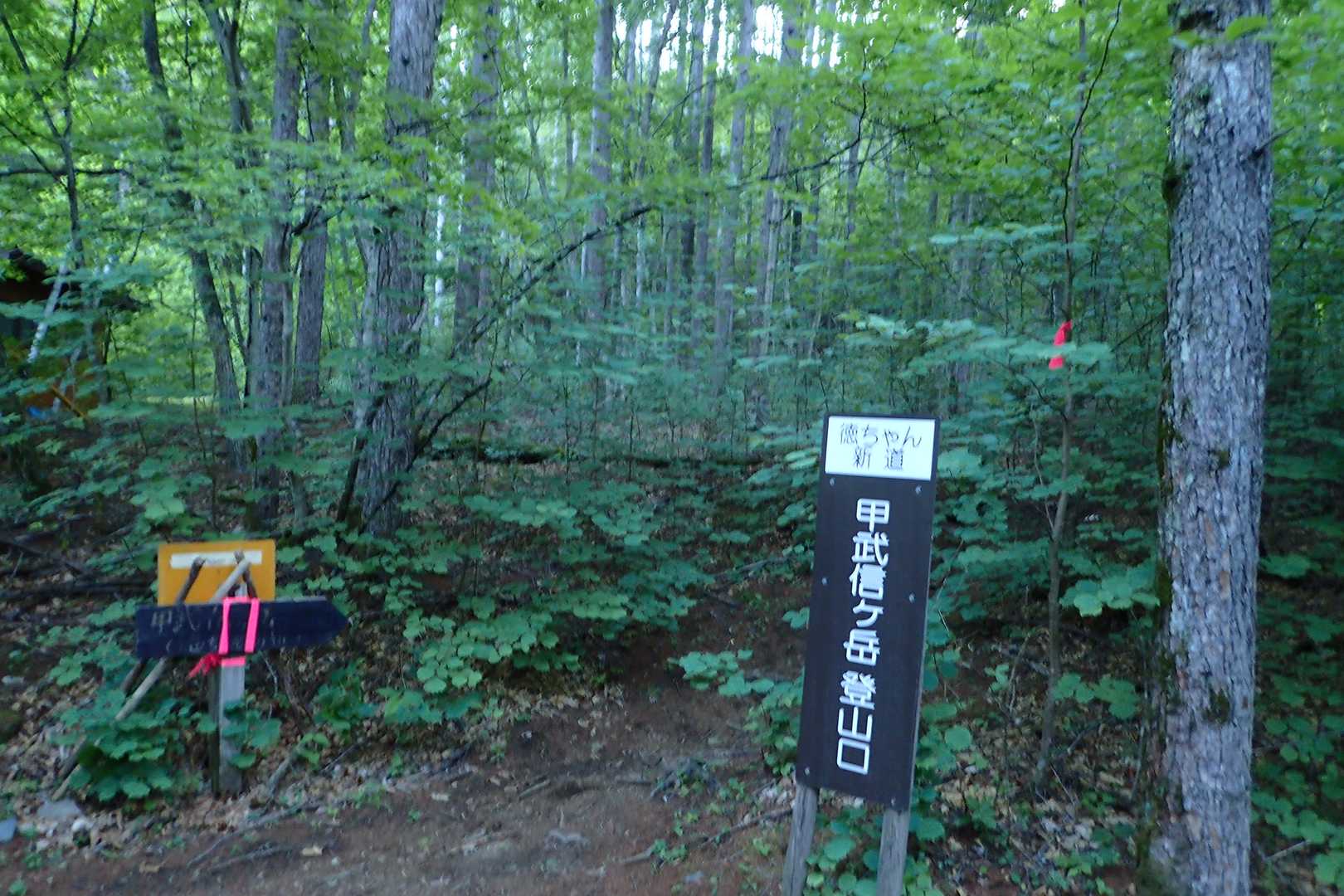 初めての徳ちゃん新道