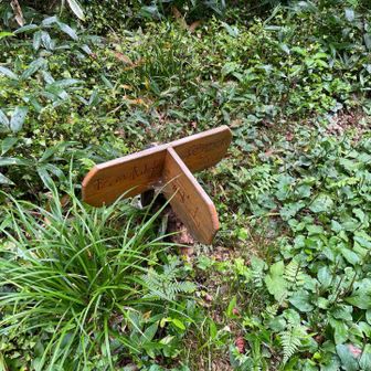そこから尾根道を少し行ったところにある寂地山と吉和冠山の分岐です。