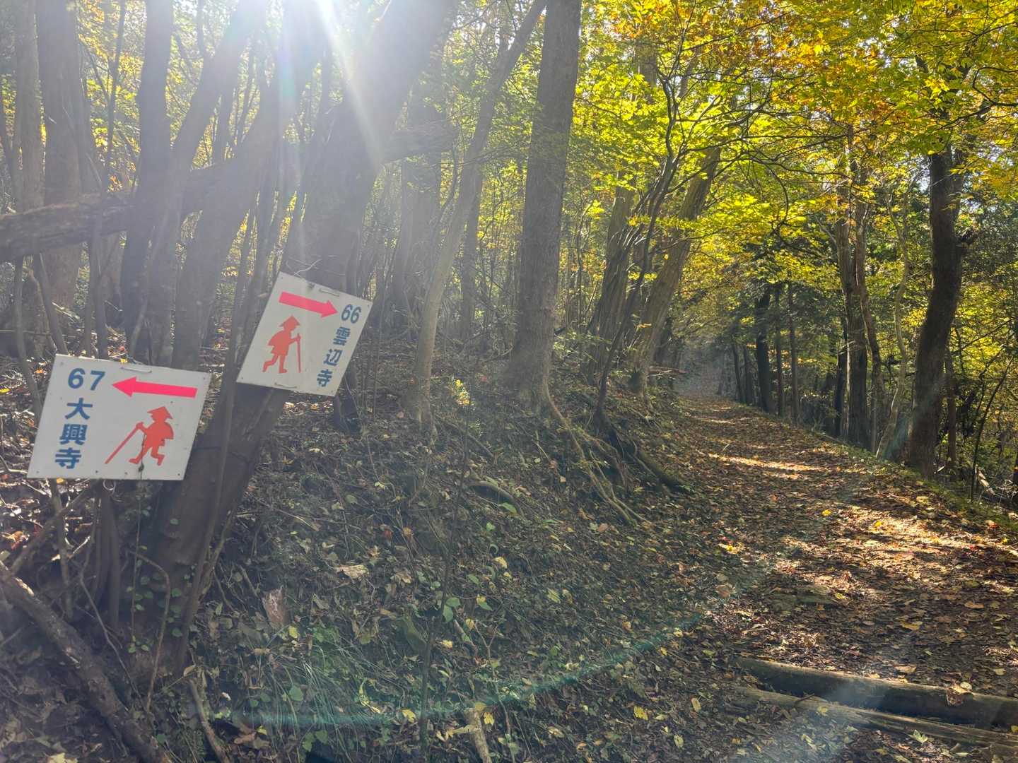 とても歩きやすい道だなぁ✨