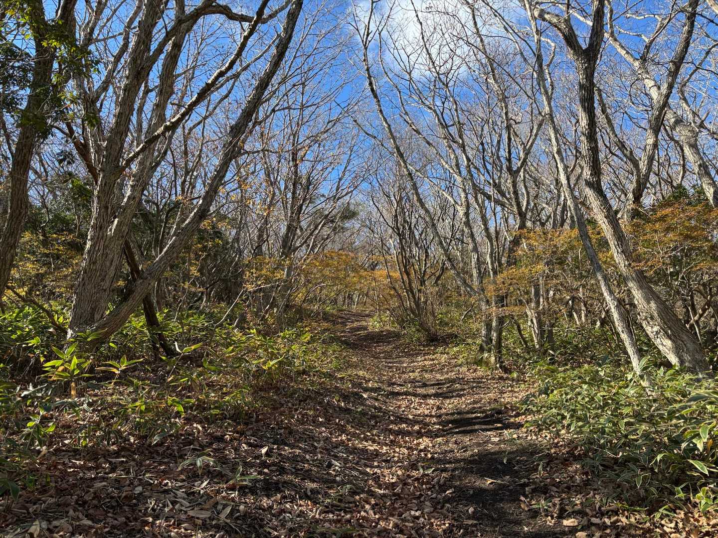 高塚山-大滝根山 周回コースの写真