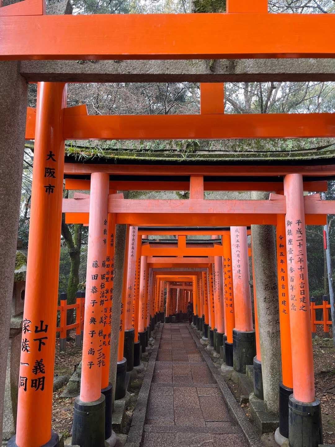 まだまだ続く