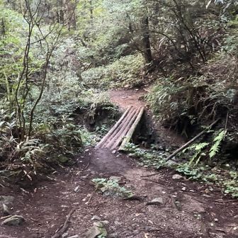 馬の背との分岐
