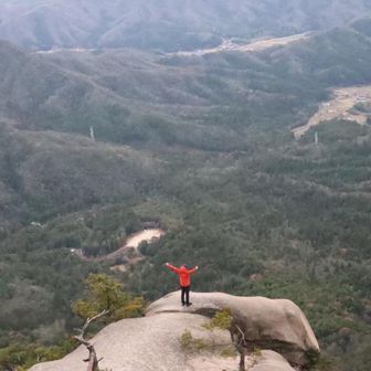 ビックフット28