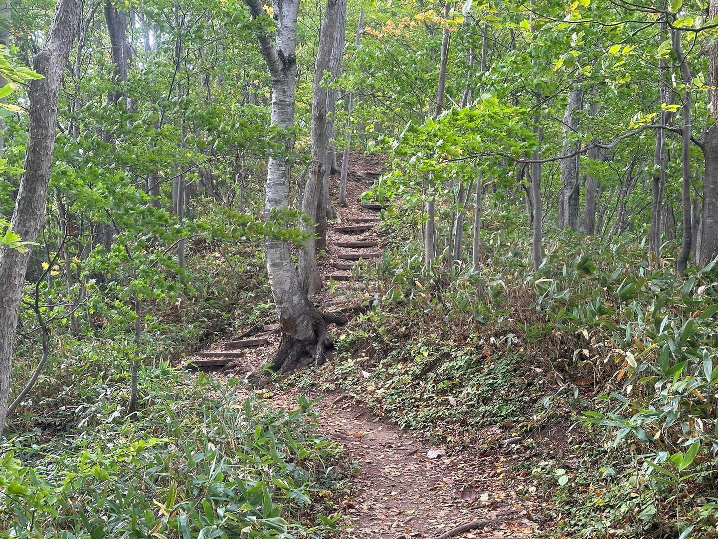 徐々に登りにも脚が慣れてきます