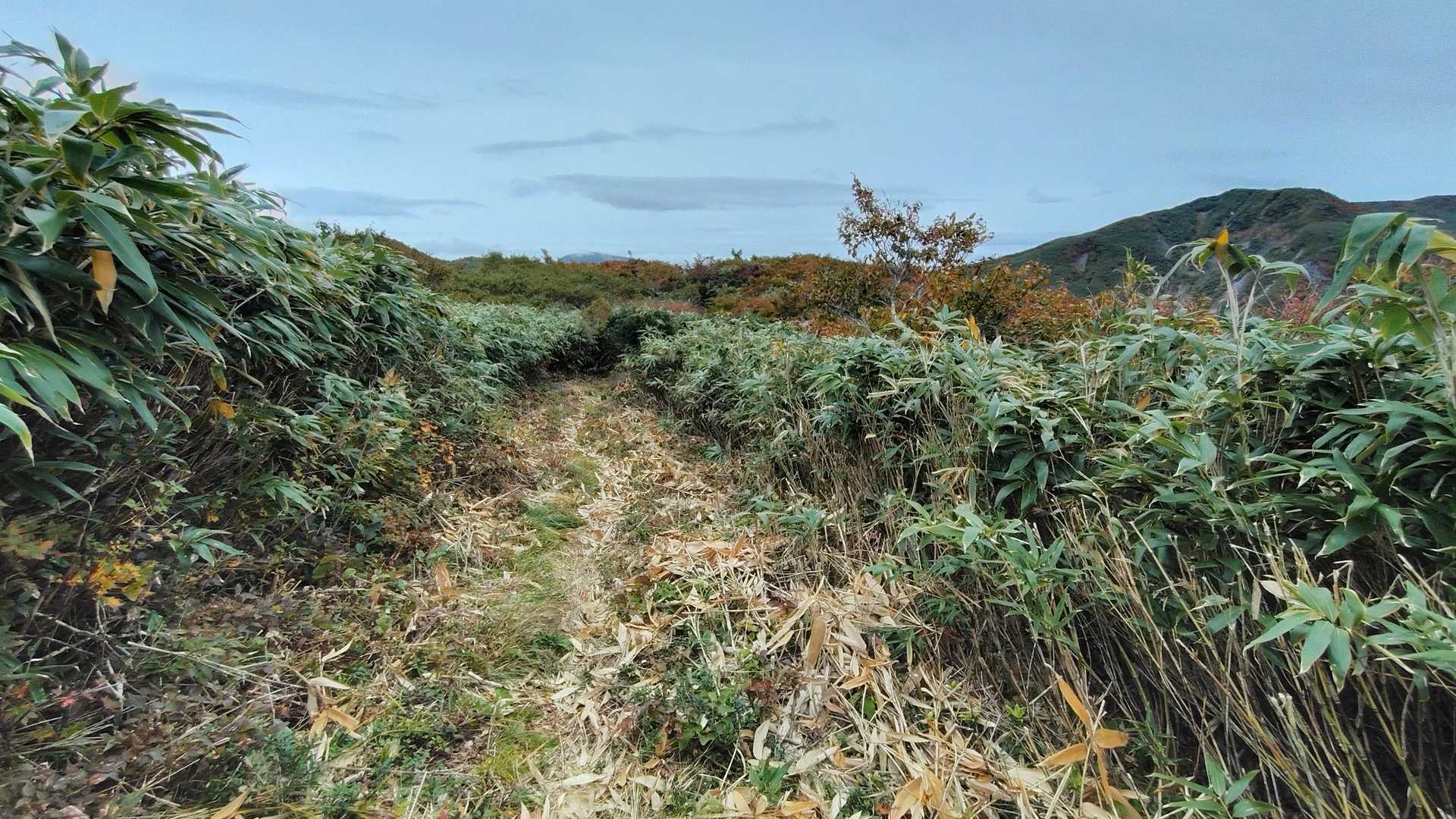 登山道。