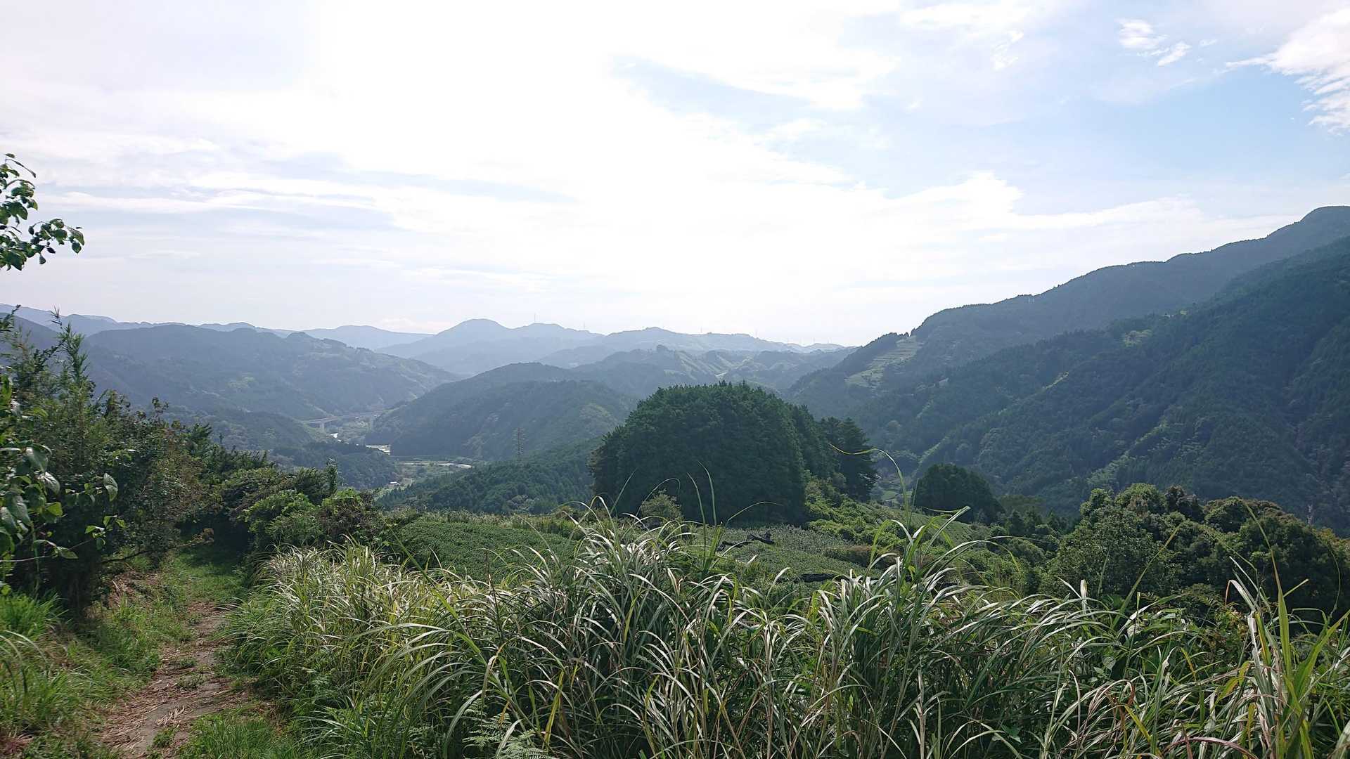 杉尾山ハイキングコース入口-杉尾山-杉尾山登山口 周回コースの写真