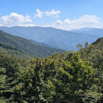 向霧立、扇山。