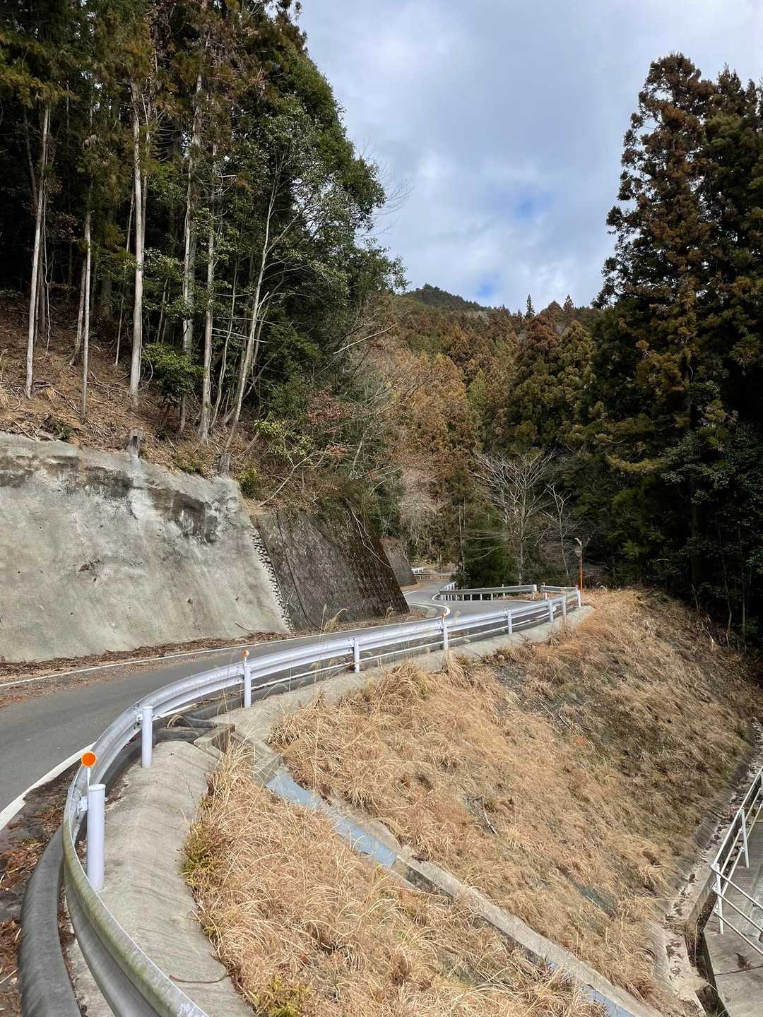 気持ち良く歩いてます。