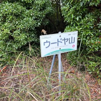 この山の前後はススキ藪漕ぎと激下り😭
休憩、出発のたびに皆て繰り返唱えたミマモリスイッチオンのおかげで無事に下山口の🚖さんまで辿り着けました。