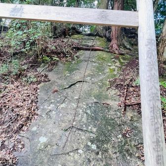 裏行場へ