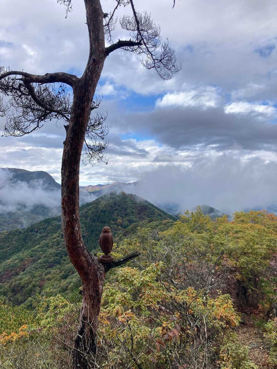 帰りはフクロウ🦉の後ろの高王山⛰️✨も見えました！
