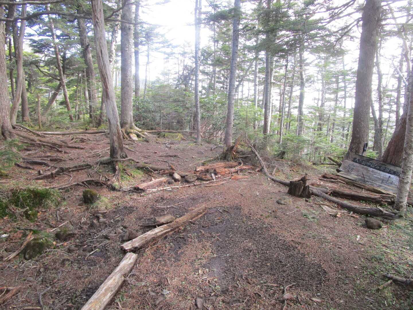 扇山の写真