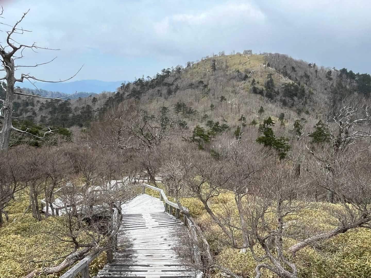 人工物と自然のコラボ