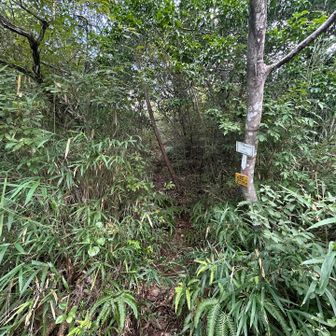 YAMAP道
途中から道路離れて駅への近道　涼しい
ここから赤谷へ入り口　覚えとこ