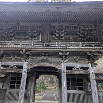 立派な門構えの
大矢田神社
モミジ🍁の名所らしいです
また来ることあるかなあ～🤔  オ.シ.マ.イ