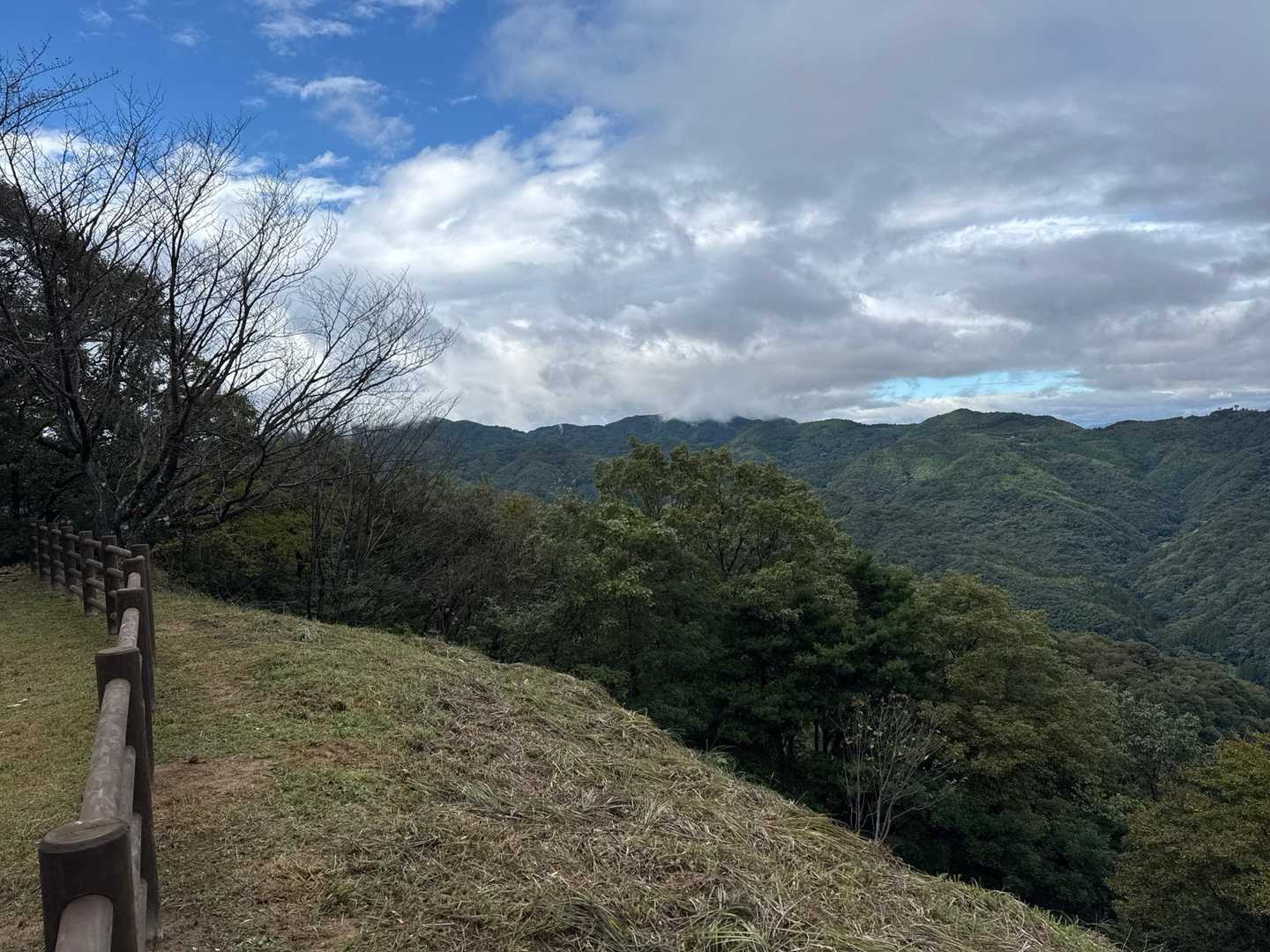 神明社鳥居-天面山登山口-天面山 往復コースの写真