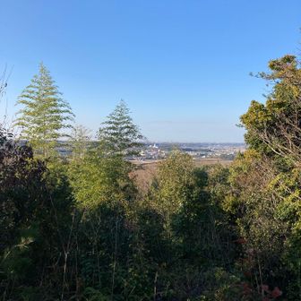 展望イマイチ💦
展望台は腐って撤去された様である。