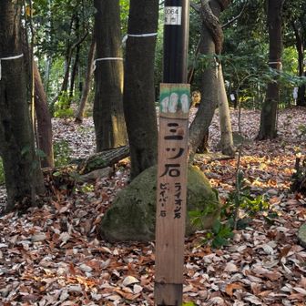 ちょっと分かりづらい😂