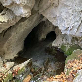 無双洞は相変わらず水がすごい