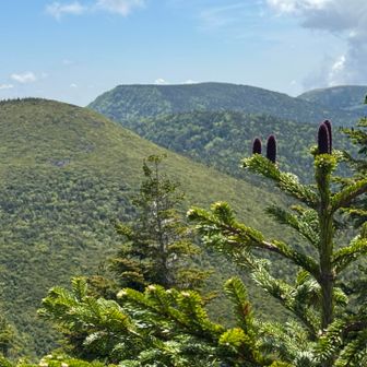 昭元山から
手前が烏帽子山、奥がニセ烏帽子山
うーん。ニセの方が烏帽子の形に似てる
手前にアオモリトドマツ