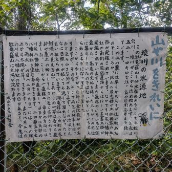 標識は龍になってましたが、説明書きの看板は竜になってます
